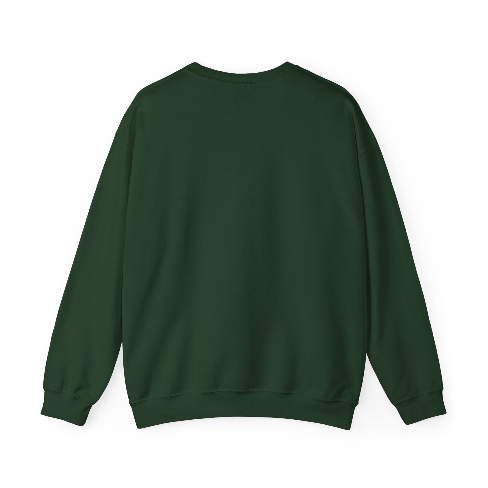 Night Watch Tactical Night Ops Crewneck | The Vice Collection