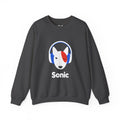 Sonic Studio Crewneck | The Vinyl Toy Capsule
