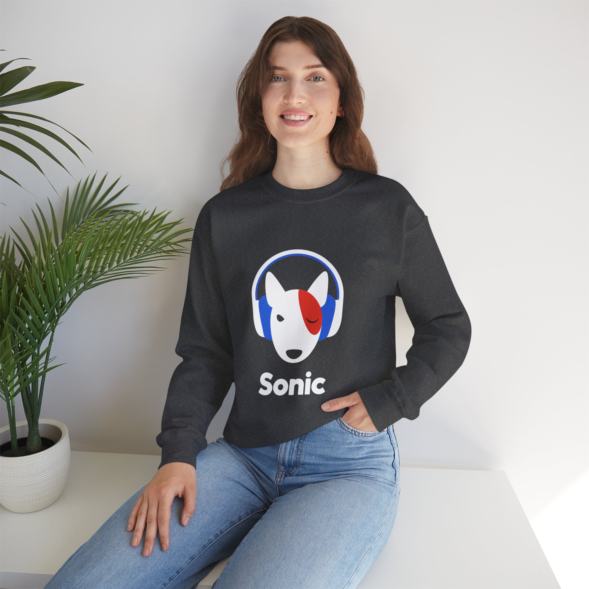 Sonic Studio Crewneck | The Vinyl Toy Capsule